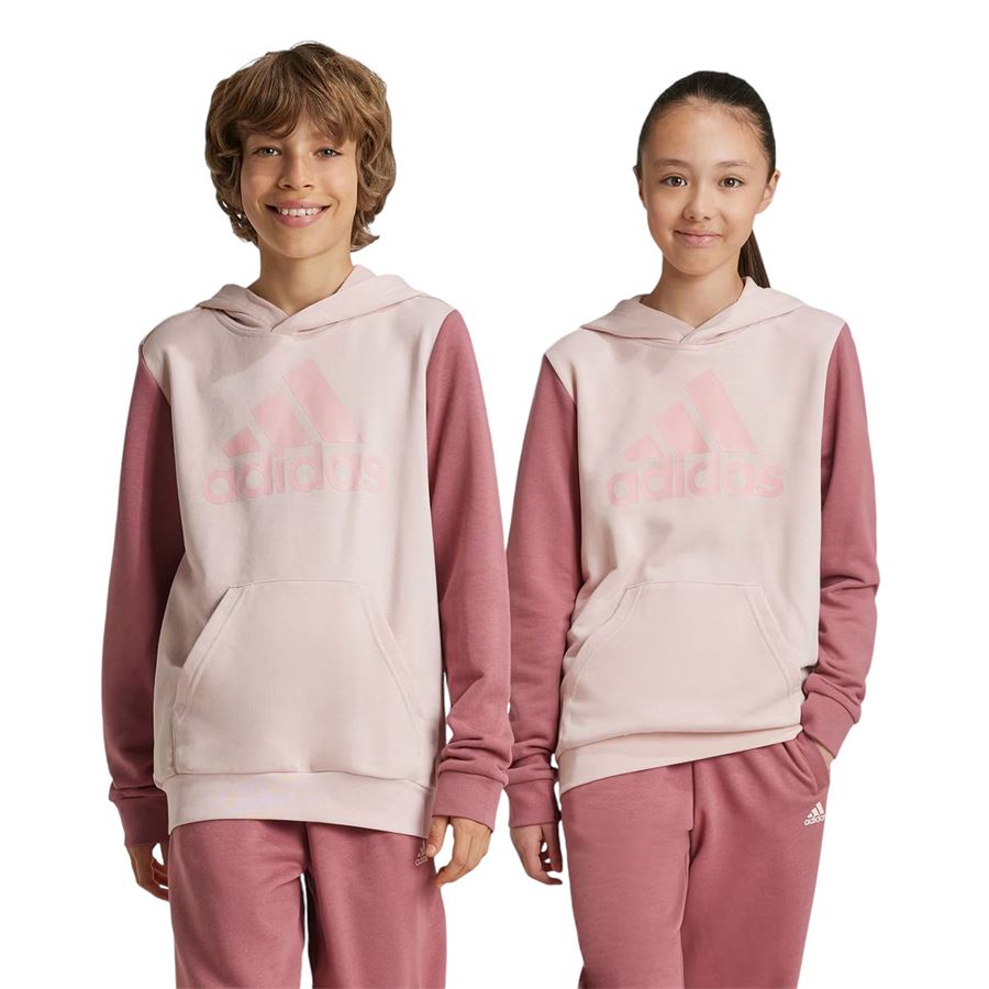 Felpa con cappuccio da bambina Essentials Big Logo Colorblock Adidas | IX9512X